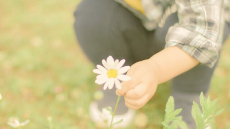 花をつむ子どもの手
