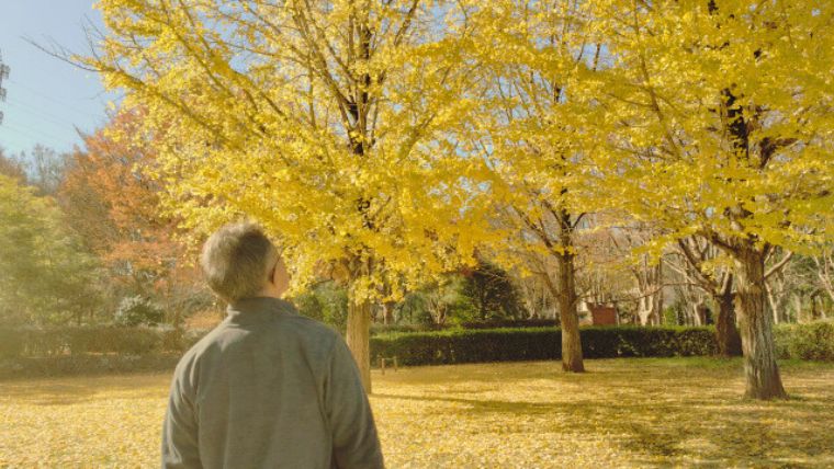 おじさんの後ろ姿