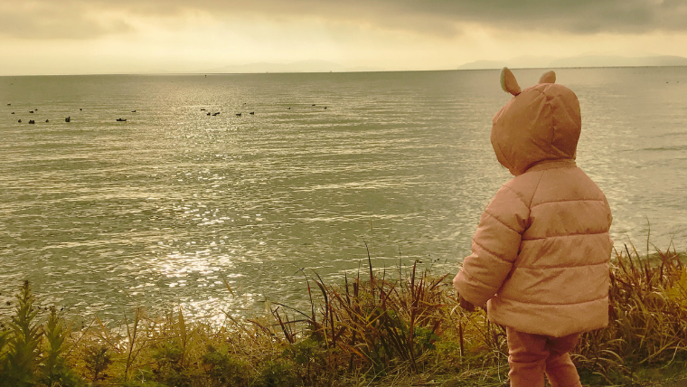 湖を見つめる娘